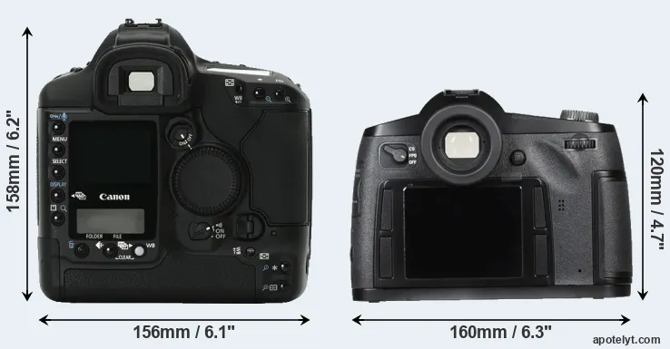 Comparison 1Ds Mark II or S Typ 007 rear