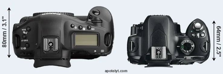 Compare 1Ds Mark II versus D60 top