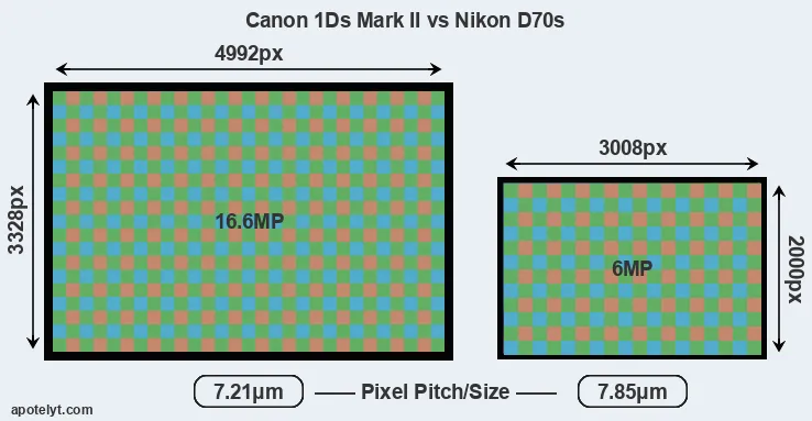 1Ds Mark II versus D70s MP