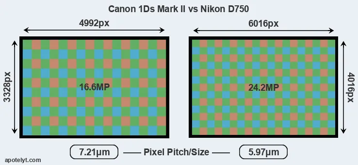 1Ds Mark II versus D750 MP