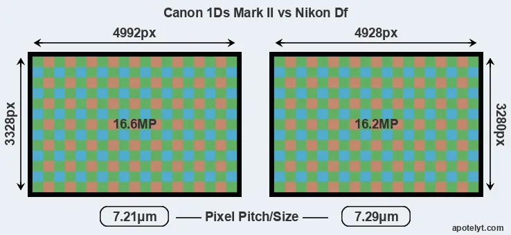 1Ds Mark II versus Df MP