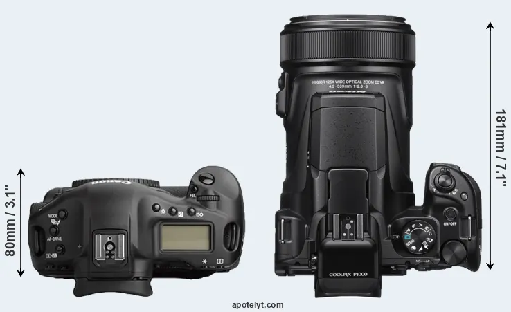 Compare 1Ds Mark II versus P1000 top