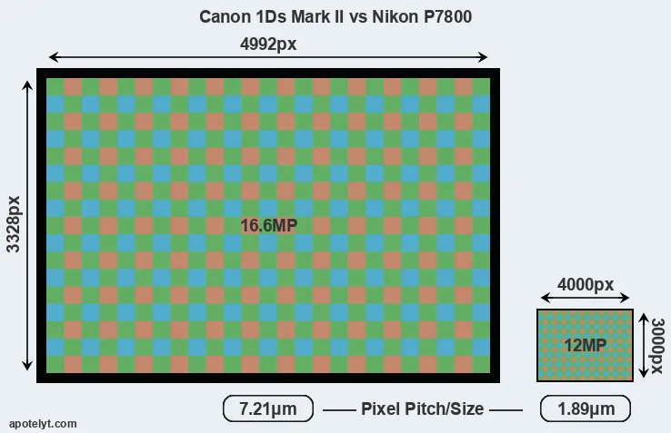 1Ds Mark II versus P7800 MP