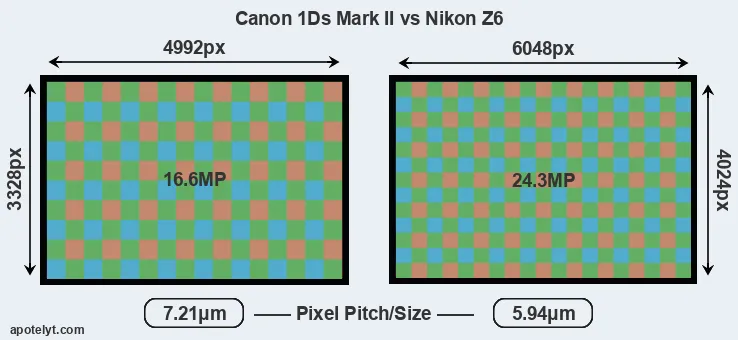1Ds Mark II versus Z6 MP