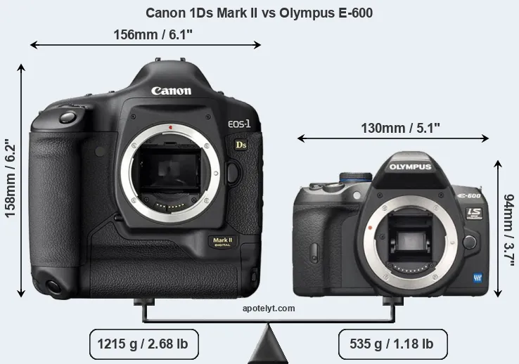 Size Canon 1Ds Mark II vs Olympus E-600