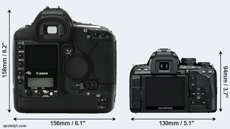 Comparison 1Ds Mark II or E-600 rear