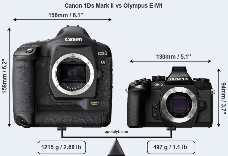 Size Canon 1Ds Mark II vs Olympus E-M1