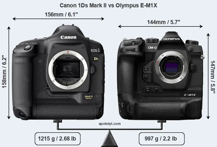 Size Canon 1Ds Mark II vs Olympus E-M1X