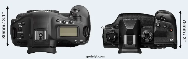 Compare 1Ds Mark II versus E-M1X top