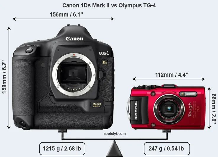 Size Canon 1Ds Mark II vs Olympus TG-4
