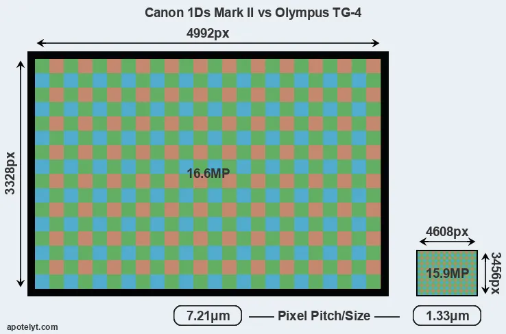 1Ds Mark II versus TG-4 MP