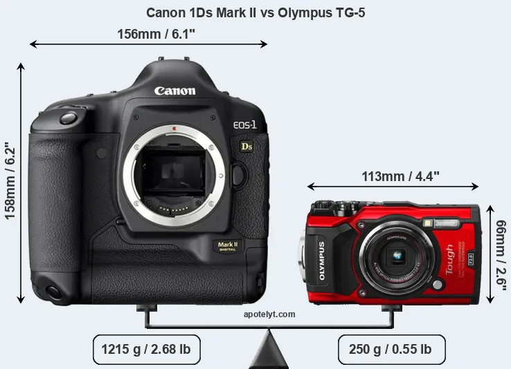 Size Canon 1Ds Mark II vs Olympus TG-5