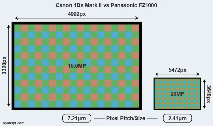 1Ds Mark II versus FZ1000 MP