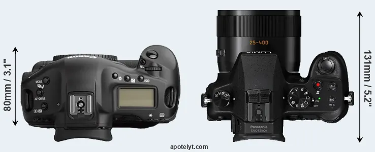 Compare 1Ds Mark II versus FZ1000 top