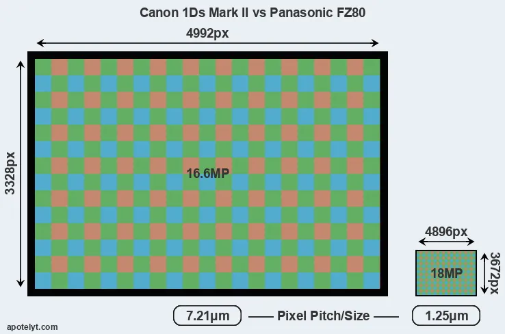 1Ds Mark II versus FZ80 MP