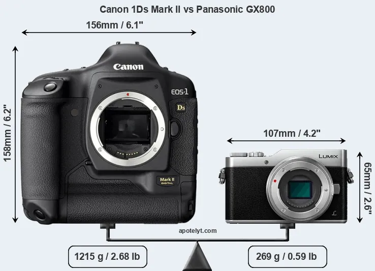Size Canon 1Ds Mark II vs Panasonic GX800