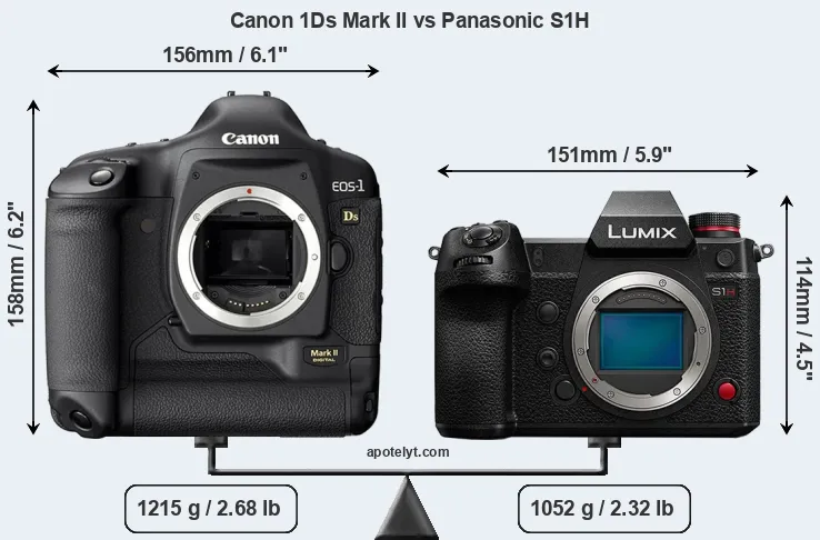 Size Canon 1Ds Mark II vs Panasonic S1H