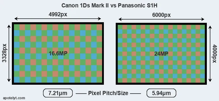 1Ds Mark II versus S1H MP