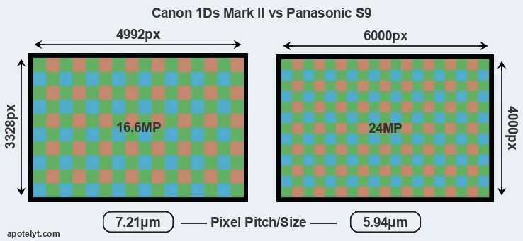 1Ds Mark II versus S9 MP