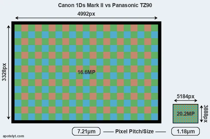 1Ds Mark II versus TZ90 MP