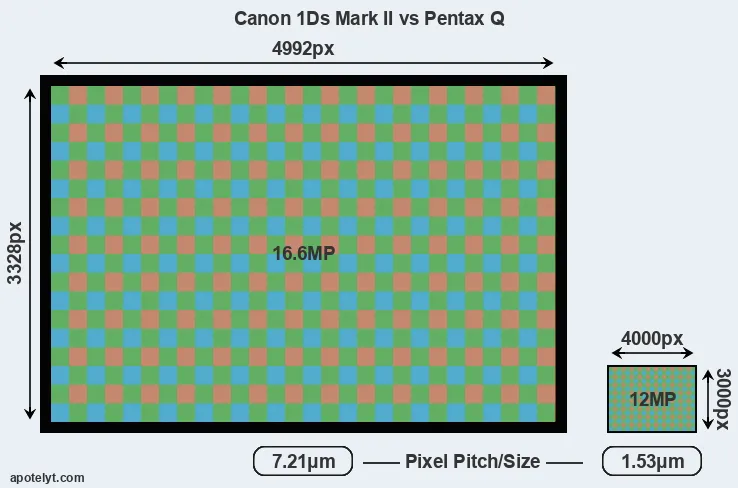 1Ds Mark II versus Pentax Q MP