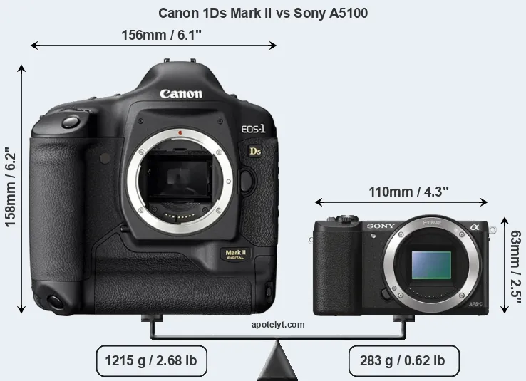 Size Canon 1Ds Mark II vs Sony A5100