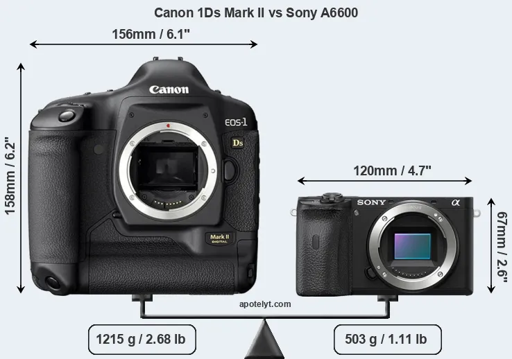 Size Canon 1Ds Mark II vs Sony A6600