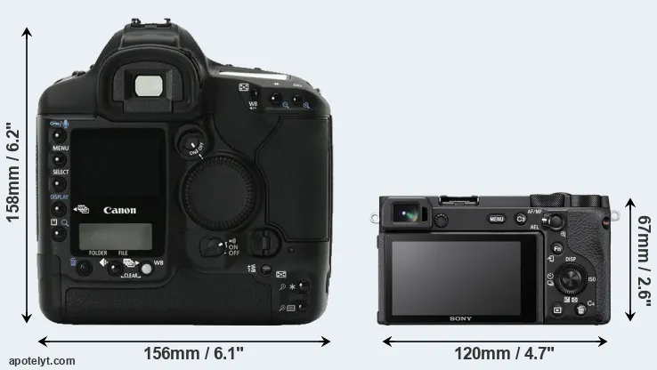 Comparison 1Ds Mark II or A6600 rear