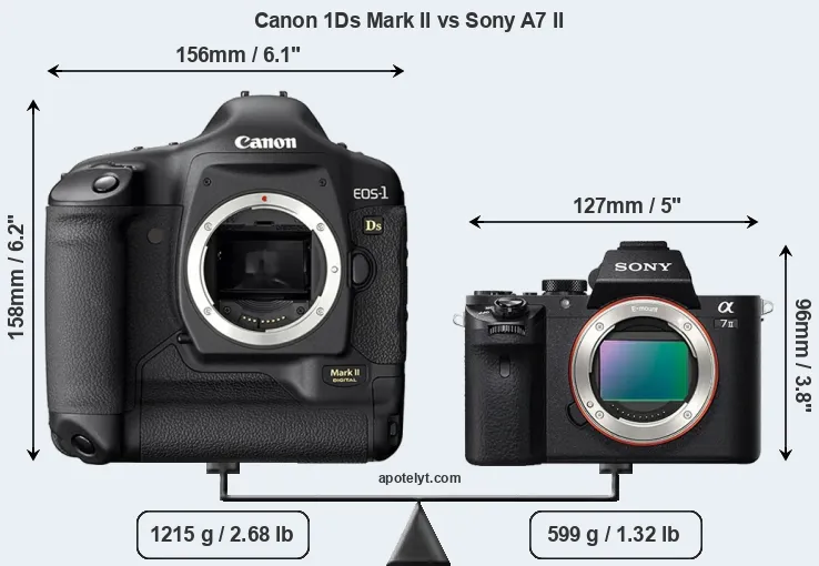 Size Canon 1Ds Mark II vs Sony A7 II