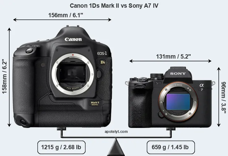 Size Canon 1Ds Mark II vs Sony A7 IV