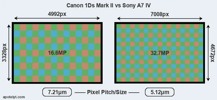 1Ds Mark II versus A7 IV MP