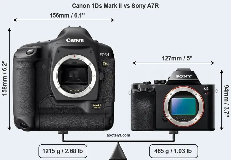 Size Canon 1Ds Mark II vs Sony A7R