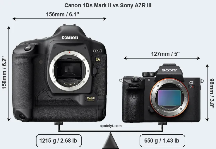 Size Canon 1Ds Mark II vs Sony A7R III