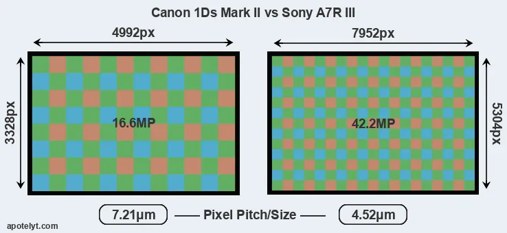 1Ds Mark II versus A7R III MP