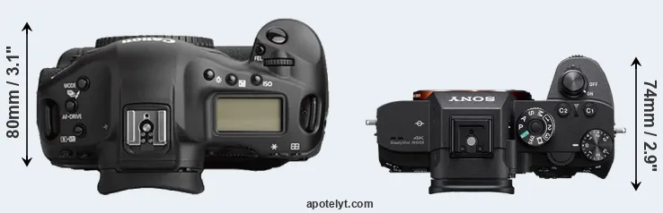 Compare 1Ds Mark II versus A7R III top