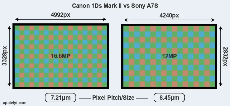 1Ds Mark II versus A7S MP