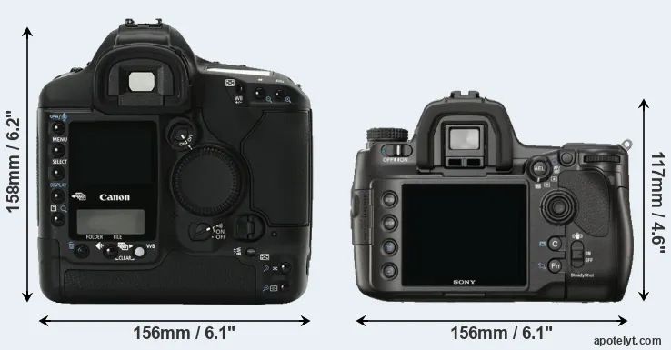 Comparison 1Ds Mark II or A900 rear