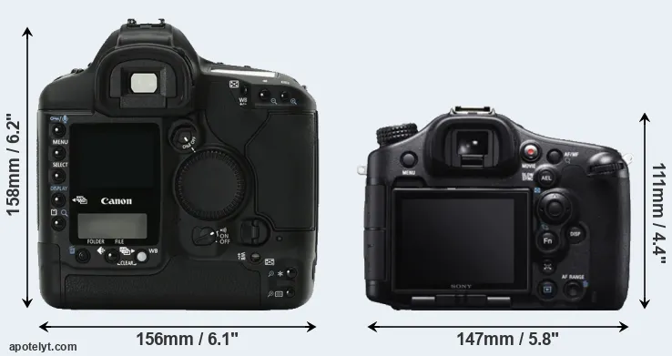 Comparison 1Ds Mark II or A99 rear
