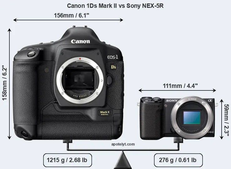 Size Canon 1Ds Mark II vs Sony NEX-5R
