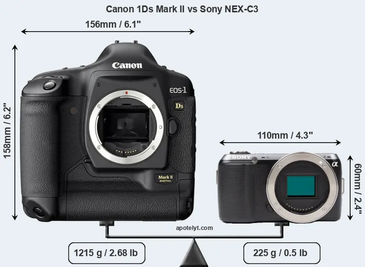 Size Canon 1Ds Mark II vs Sony NEX-C3