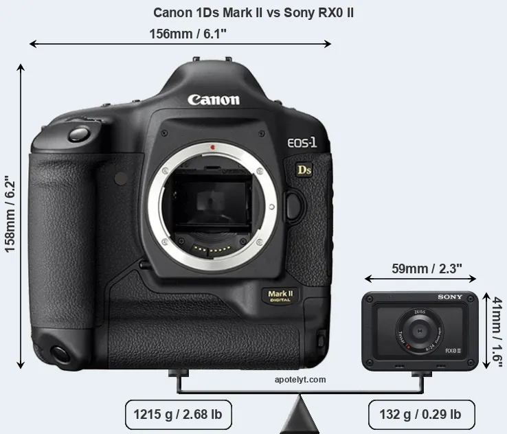 Size Canon 1Ds Mark II vs Sony RX0 II