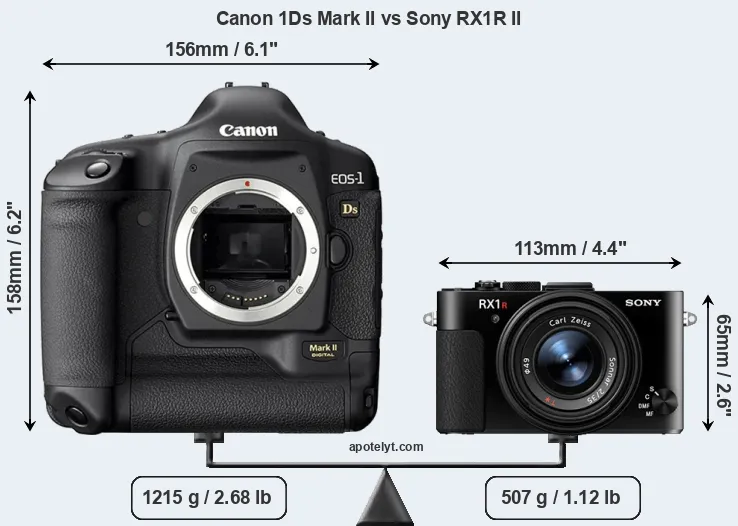 Size Canon 1Ds Mark II vs Sony RX1R II