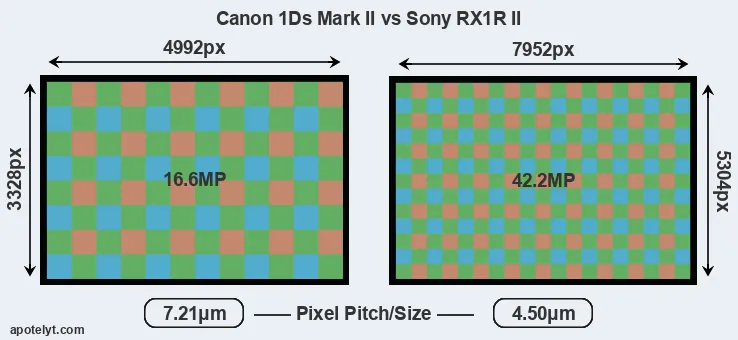 1Ds Mark II versus RX1R II MP