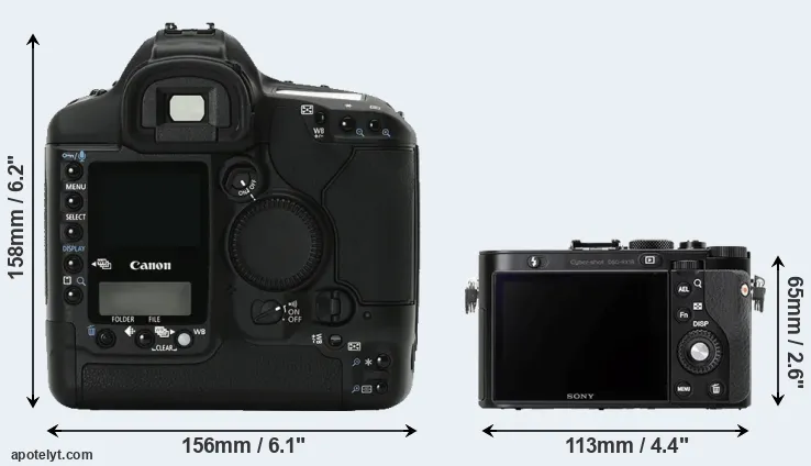 Comparison 1Ds Mark II or RX1R rear