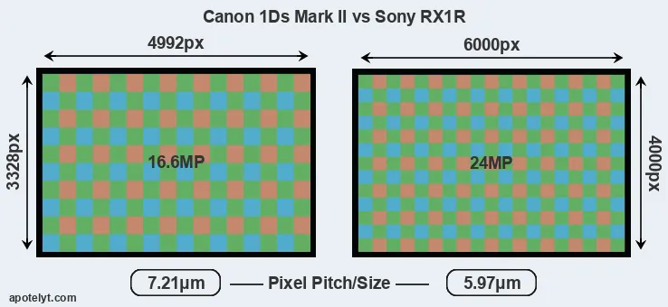 1Ds Mark II versus RX1R MP