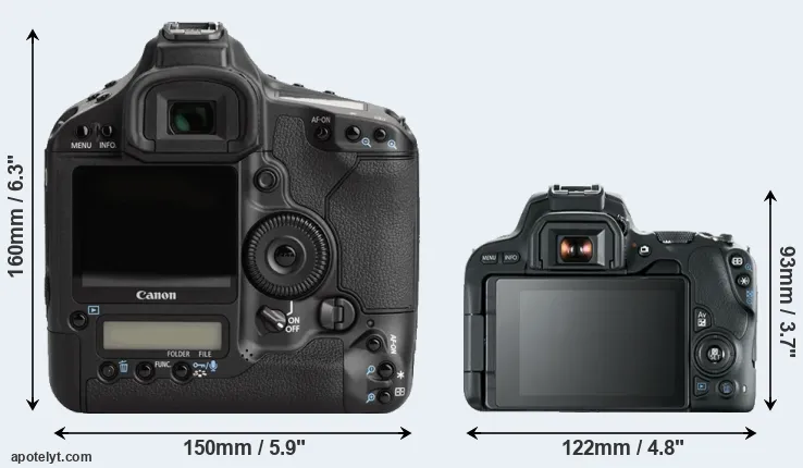 Comparison 1Ds Mark III or 200D rear