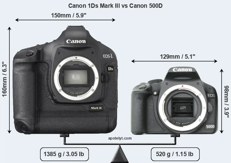 Size Canon 1Ds Mark III vs Canon 500D