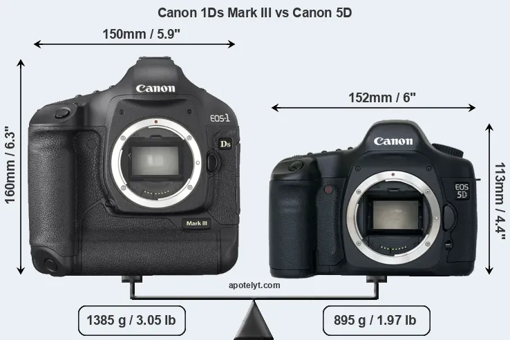 Size Canon 1Ds Mark III vs Canon 5D