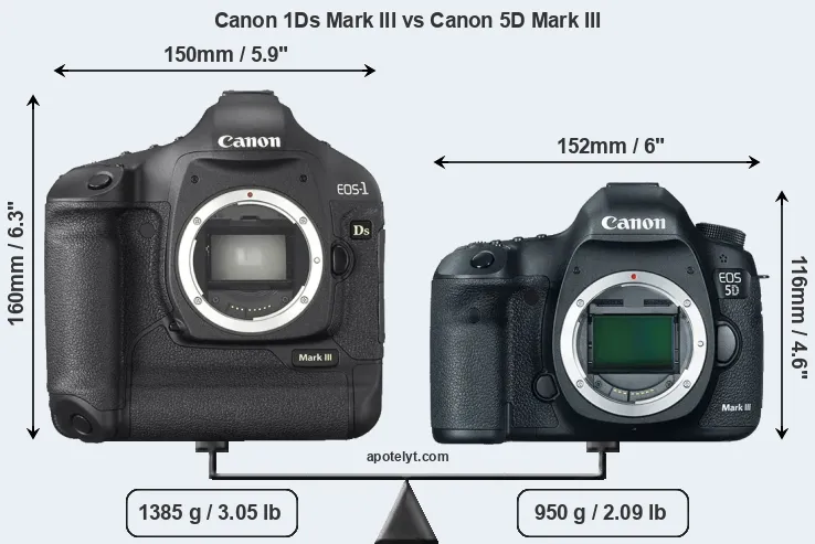 Size Canon 1Ds Mark III vs Canon 5D Mark III