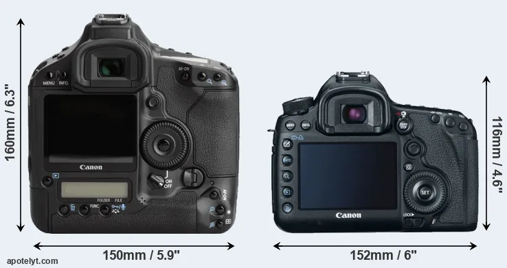 Comparison 1Ds Mark III or 5D Mark III rear